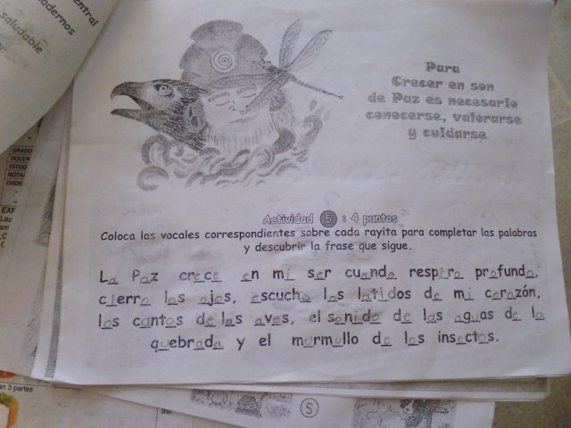 PUESTA EN PRÁCTICA PILOTO